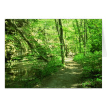 Green Forest Greeting Card