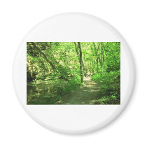 Green Forest Magnets