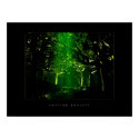 Green Forest posters