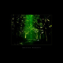 Green Forest posters