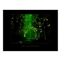 Green Forest posters