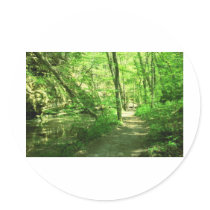 Green Forest Round Sticker