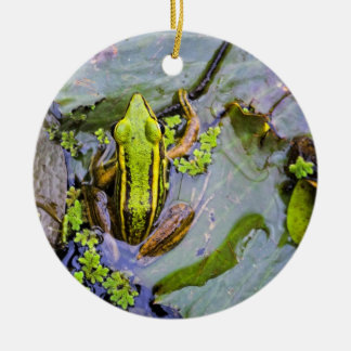 frog christmas ornaments frog ornament designs zazzle frog christmas ornaments frog ornament designs zazzle