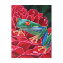 Green Frog Animal Art Painting - Multi postcards