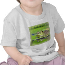Green Frog Baby T-Shirt