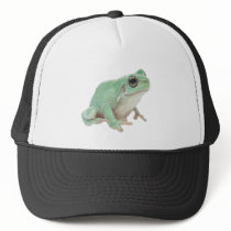Green Frog Hat