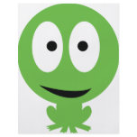 green frog icon flyer