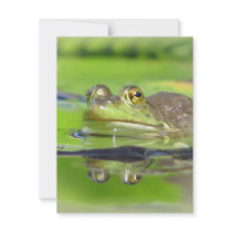 Green Frog Invitation