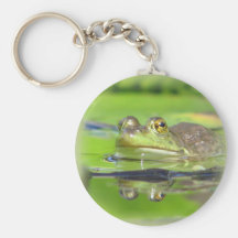Green Frog Keychain