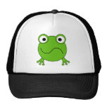 Green Frog. Looking confused. Hats