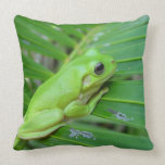 Green Frog Pillow