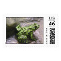 Green Frog postage