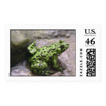 Green Frog postage