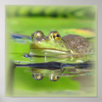 Green Frog Print