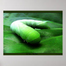 Green Garden Monster - Poster/Print