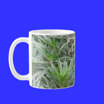green garden mugs