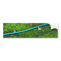 Green Garden Snake Hose bumper stickers by pantavila Green Garden Snake Hose bumper stickers
