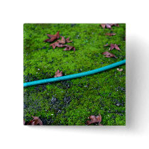 Green Garden Snake Hose buttons