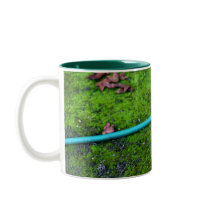 Green Garden Snake Hose mugs
