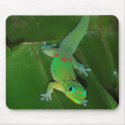 Green Gecko in Hawaii mousepads by Rebecca_Reeder Green Gecko in Hawaii mousepads