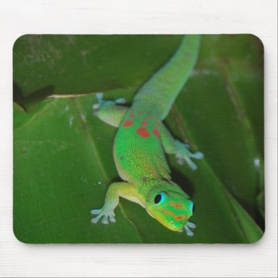 Green Gecko in Hawaii Mousepad by Rebecca_Reeder