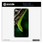 Green Gecko iPhone 4 skin