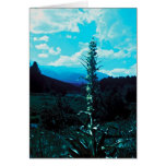 Green Gentian Greeting Card