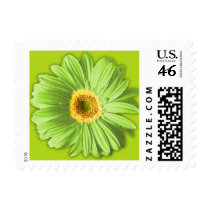 Green Gerbera Daisy Postage Stamps by oph3lia Green Gerbera Daisy Postage Stamps