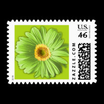 Green Gerbera Daisy Postage Stamps