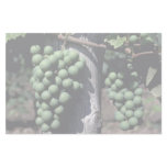 Green grape clusters customized stationery