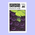 Green Grape Fitting In Postage Stamp