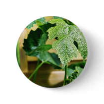 Green Grape Leaf buttons