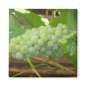 Green Grapes of California magnets by pier0045 Green Grapes of California magnets