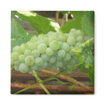 Green Grapes of California magnets