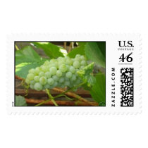 Green Grapes of California postage