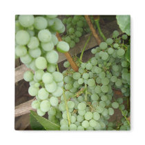 Green Grapes on the Vine - Magnet
