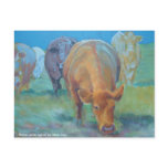Green grass aglow post cards