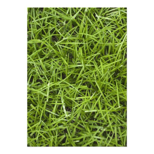 Green Grass Birthday Party Invitation