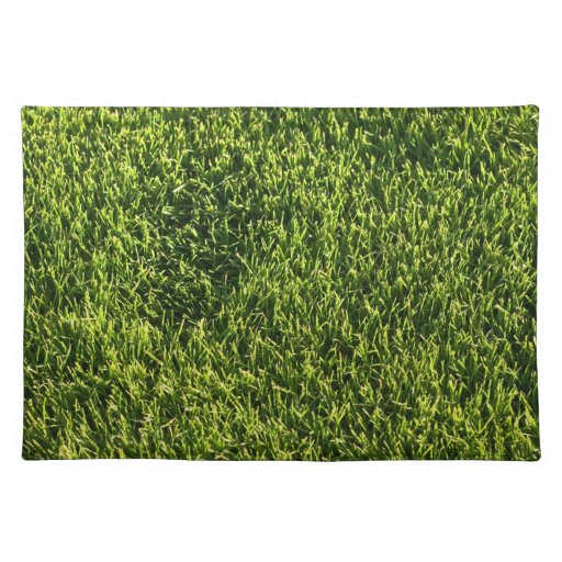 Green Grass Cloth Placemat Zazzle