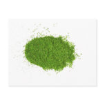 Green Grass ECO System Postcard