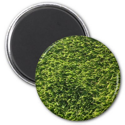 Green Grass Fridge Magnet