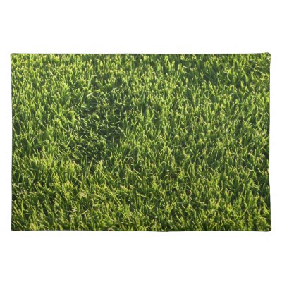 Green Grass Place Mat