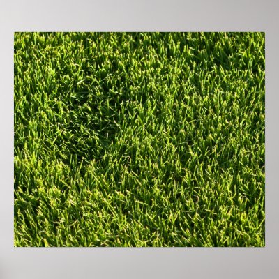 Green Grass Poster