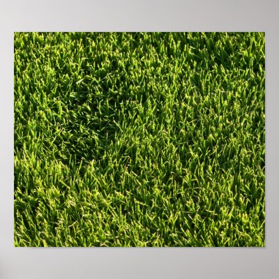 Green Grass Posters