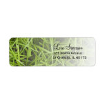 Green Grass Return Address Labels