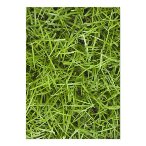 Green Grass Wedding Invitation
