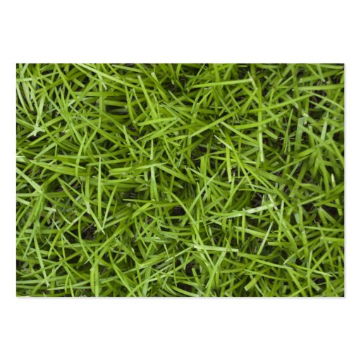 Green Grass Wedding Place Cards Business Card (back side)