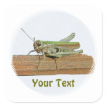Green Grasshopper Cartoon Name Gift Tag Bookplate