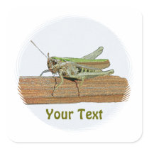 Green Grasshopper Cartoon Name Gift Tag Bookplate