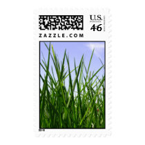 Green Green Grass Of Home postage stamp by sruhs Green Green Grass Of Home postage stamp